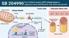 SB 204990 from Selleck targets ATP-citrate lyase to suppress tumor proliferation and renal cyst growth