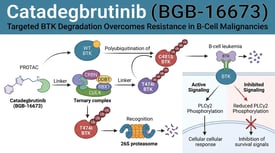 Catadegbrutinib (BGB-16673) Targeted BTK Degradation Overcomes Resistance in B-Cell Malignancies