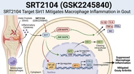 SRT2104 (GSK2245840) SRT2104 Target Sirt1 Mitigates Macrophage Inflammation in Gout