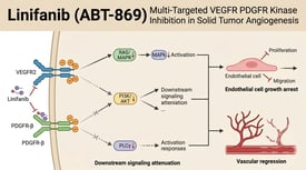 Linifanib (ABT-869) Multi-Targeted VEGFR PDGFR Kinase Inhibition in Solid Tumor Angiogenesis